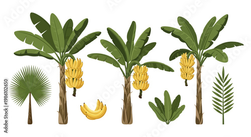Tropical Banana Trees with Bunches of Yellow Bananas and Palm Leaves