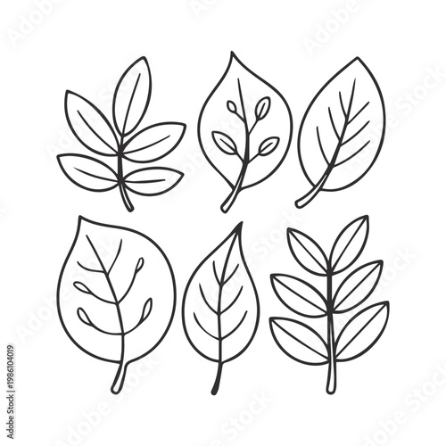 Botanical leaf  collection, vector illustration.
