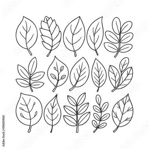 Botanical leaf  collection, vector illustration.