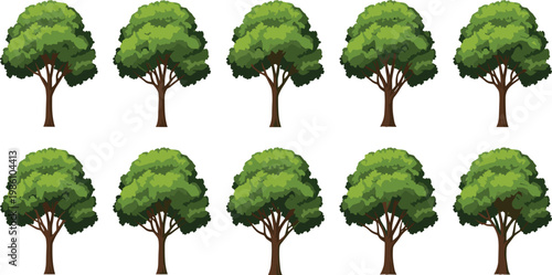 Tall mature trees vector set large green canopy collection isolated on white background