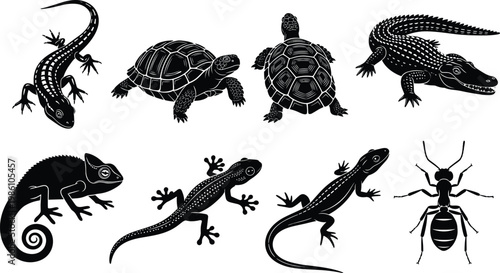 Reptile and amphibian silhouettes collection, lizard turtle crocodile chameleon gecko ant set, wildlife animal illustration, black isolated vector design concept