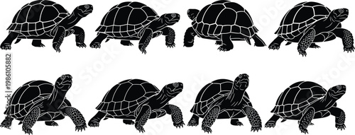 Turtle silhouette set, tortoise walking poses collection, reptile wildlife illustration, black and white animal design, isolated vector graphic concept