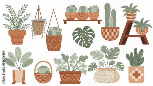 A collection of potted plants and cacti in a botanical illustration style