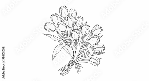 Delicate sketch of a bouquet of blooming tulips on a white background