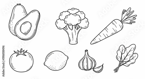 Collection of fresh healthy vegetables and fruits illustrations avocado, broccoli, carrot, tomato, lemon, garlic, and spinach