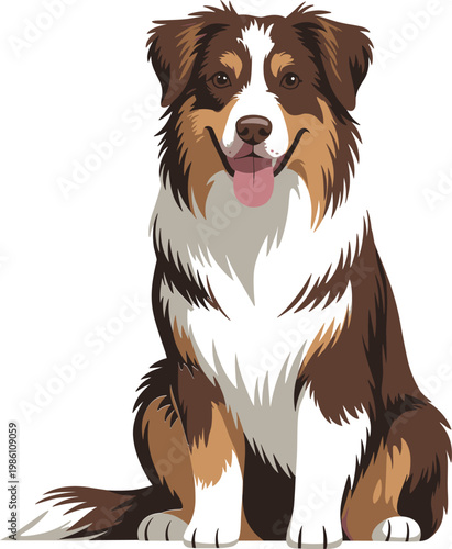 Adorable Australian Shepherd dog vector illustration sitting isolated on white background for pet care veterinary and domestic animal breed lover graphic designs.