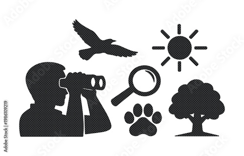 Wildlife observation icon set, bird watching silhouette with binoculars, nature exploration vector elements including sun, tree, and animal paw print