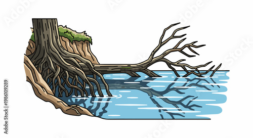 Exposed tree roots and fallen branches submerged in blue water with reflections