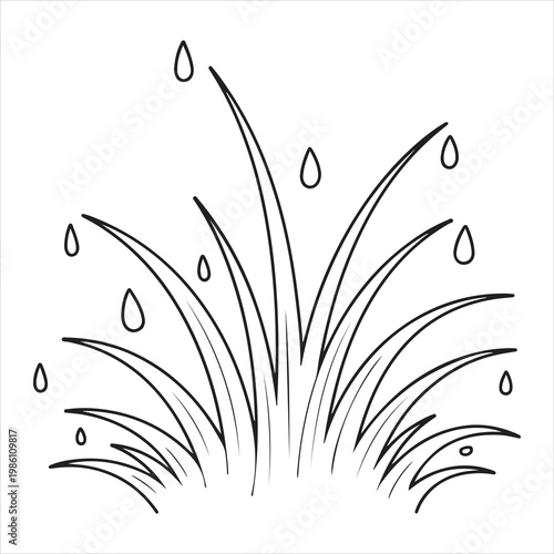 Raindrops falling on a plant