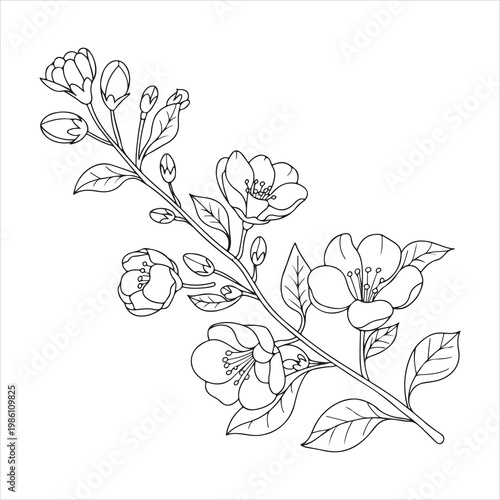 A line drawing of a branch with flowers and leaves