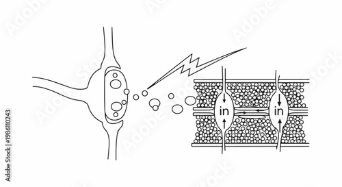 Detailed illustration of nerve cell communication and ion channel activity