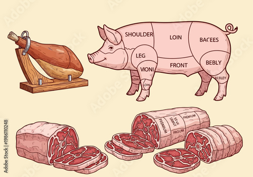 Pork Butcher Cuts Guide and Meat Illustration with Pig Chart and Premium Ham