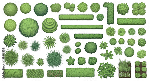 A collection of various green plants and bushes on a white background
