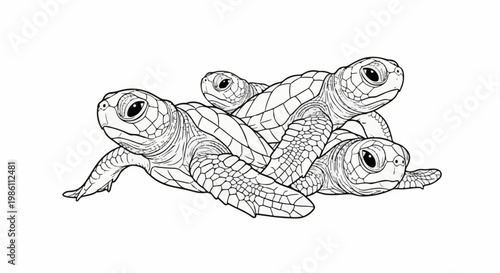 Detailed line drawing of four baby turtles piled together