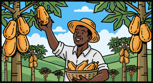 Farmer harvesting ripe papayas under a bright blue sky