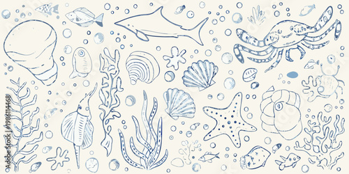 A collection of hand drawn marine life and underwater botanical elements