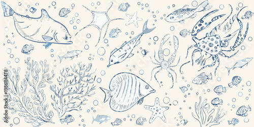 Sketch of marine life including fish starfish and coral underwater