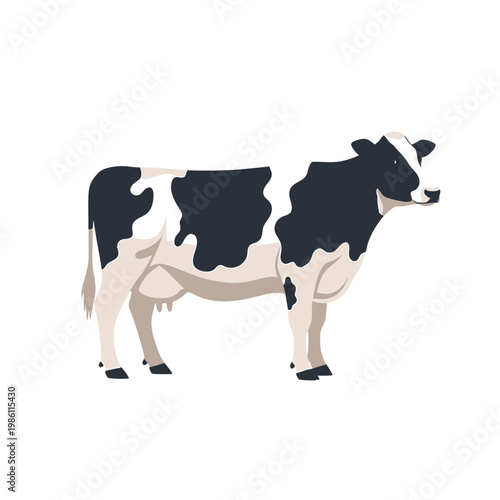 Illustration of a black and white cow standing on a plain white background