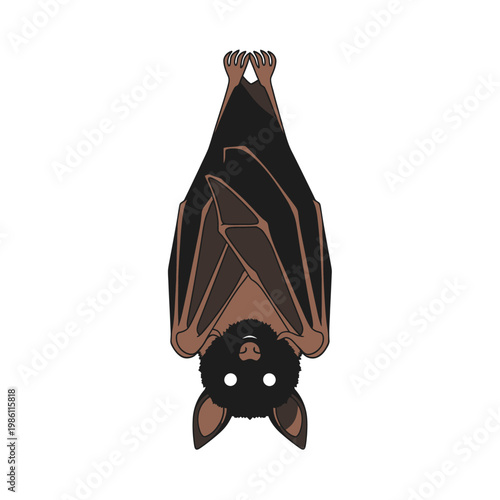 Illustration of a brown bat hanging upside down on a white background