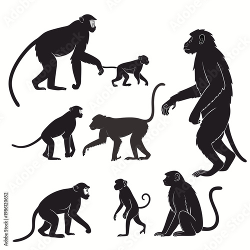 Set of monkey silhouettes in various poses