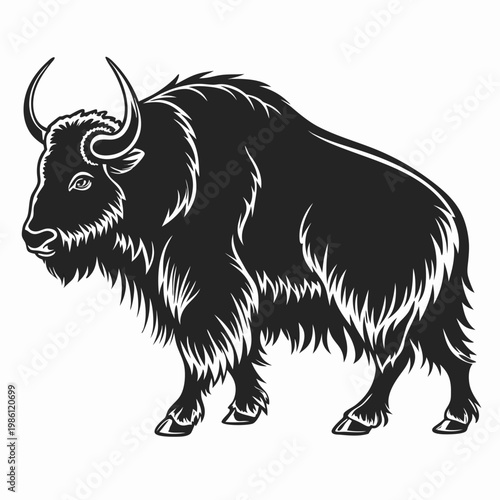 Bilde på lerret Vector illustration of a yak, a large bovid with long hair