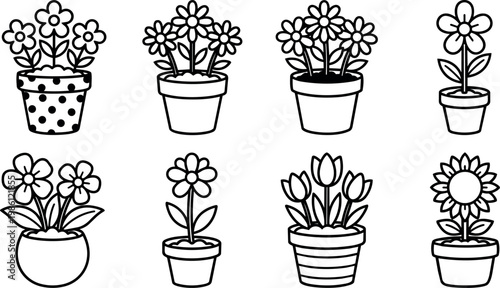 Eight different potted flower plants collection