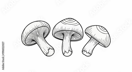 Three hand-drawn mushrooms in black and white outline