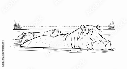 Three hippos partially submerged in water, with reeds in the background