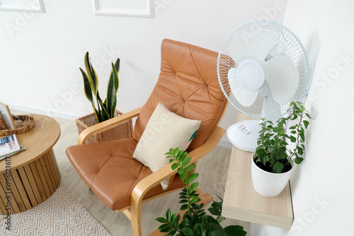 Electric fan and houseplant...