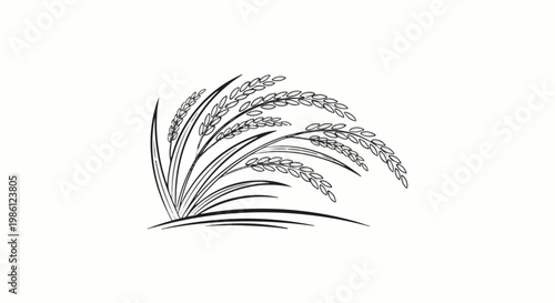 Stylized monochrome illustration of mature rice stalks bending gracefully