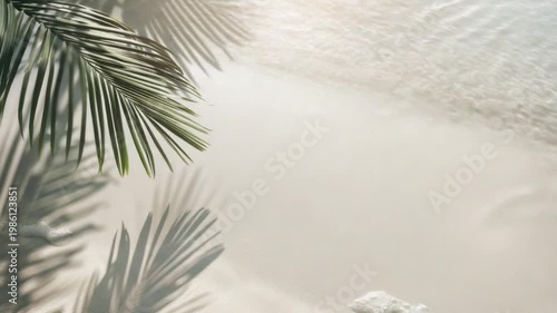 A palm tree stands tall on the sandy beach, its long shadow stretching towards the water