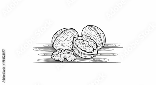 Hand-drawn illustration of walnuts on wooden planks, one cracked open