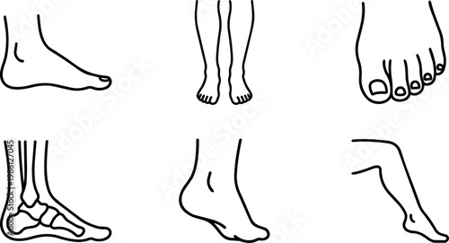 Black and white line art foot and ankle anatomy illustrations showing bones and toes