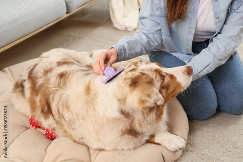 Young woman brushing cute A...