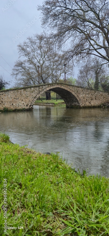 Obraz premium bridge over the river