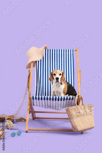Cute Beagle dog sitting on ...