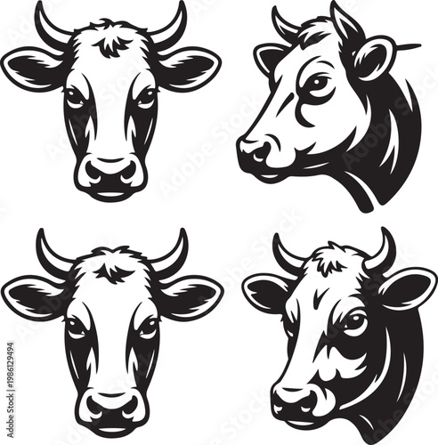 Four distinct illustrations of cattle heads in profile and frontal views.