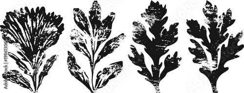 vintage botanical black leaves silhouettes set isolated on white background