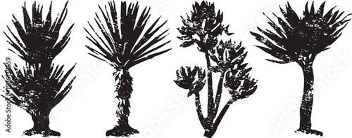 silhouettes of various palm tree shapes and branches in solid black design