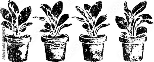 four potted plants in a row with detailed leaves and textured ceramic pots
