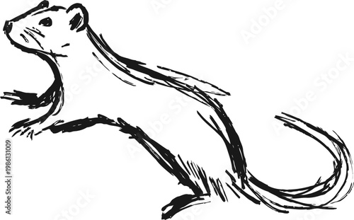 black ink drawing of a running rat in side view with detailed fur strokes and curved tail