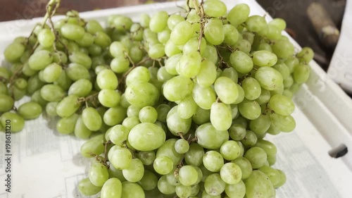 Fresh Green Grapes Bunch on White Background