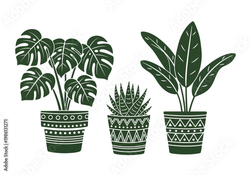 Set of Three Indoor Houseplants in Decorative Tribal Pattern Pots; Minimalist Monstera, Succulent, and Bird of Paradise Vector Illustration for Modern Home Decor
