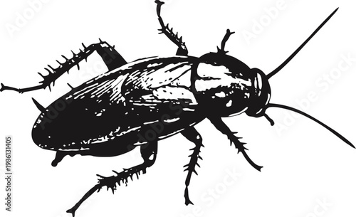 Black silhouette of cockroach insect with detailed legs and antennae illustration