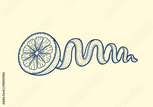 Vintage Style Line Art Illustration of a Citrus Fruit Slice with an Elegant Spiral Peel Twist