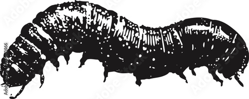 black caterpillar crawling with segmented body and multiple legs detailed insect illustration