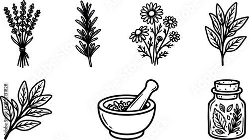 Black and white line art herbs mortar and pestle jar with leaves and flowers