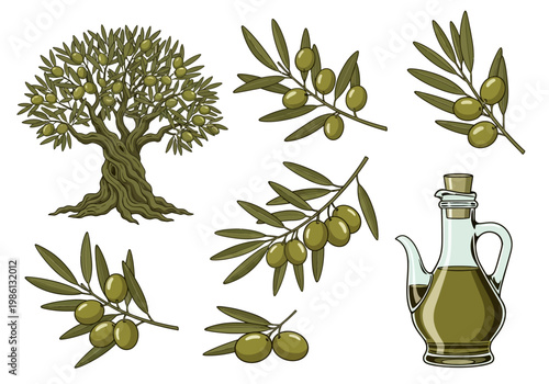 Olive Tree, Green Olive Branches, and Extra Virgin Oil Bottle Illustration Set for Mediterranean Theme and Organic Product Design