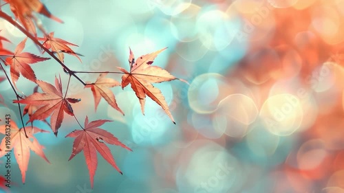 A close-up view of a tree branch covered in vibrant red leaves