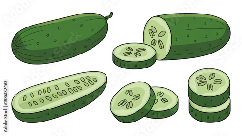 Assorted fresh green cucumbers in various shapes and sizes Vector